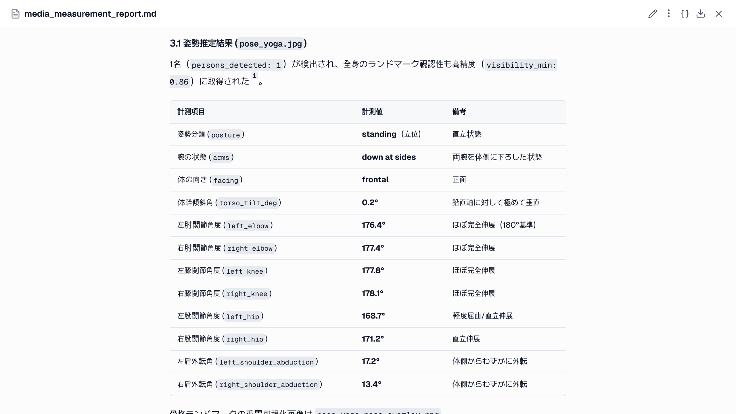 レポートの姿勢の表。姿勢の分類、腕の状態、向き、体幹の傾き、8 つの関節角度が並びます。