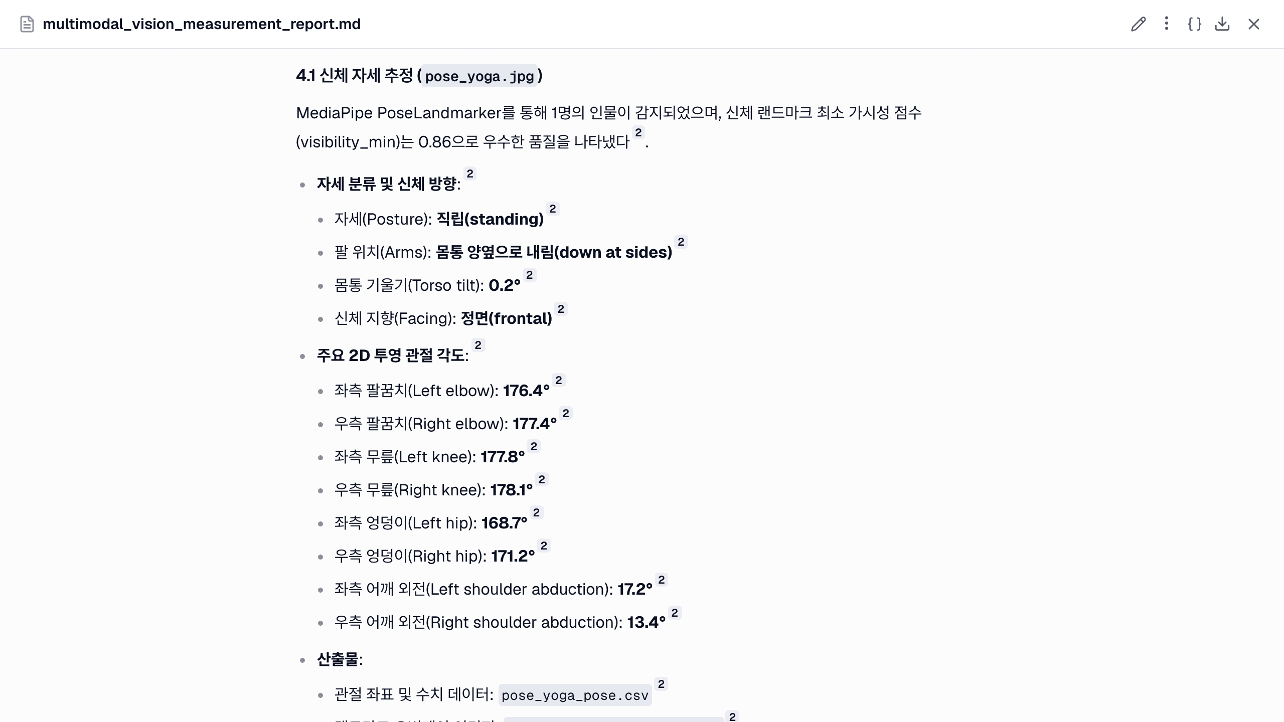 보고서의 자세 결과. 자세 분류, 팔 위치, 정면 여부, 몸통 기울기, 관절 각도 8개가 나옵니다.