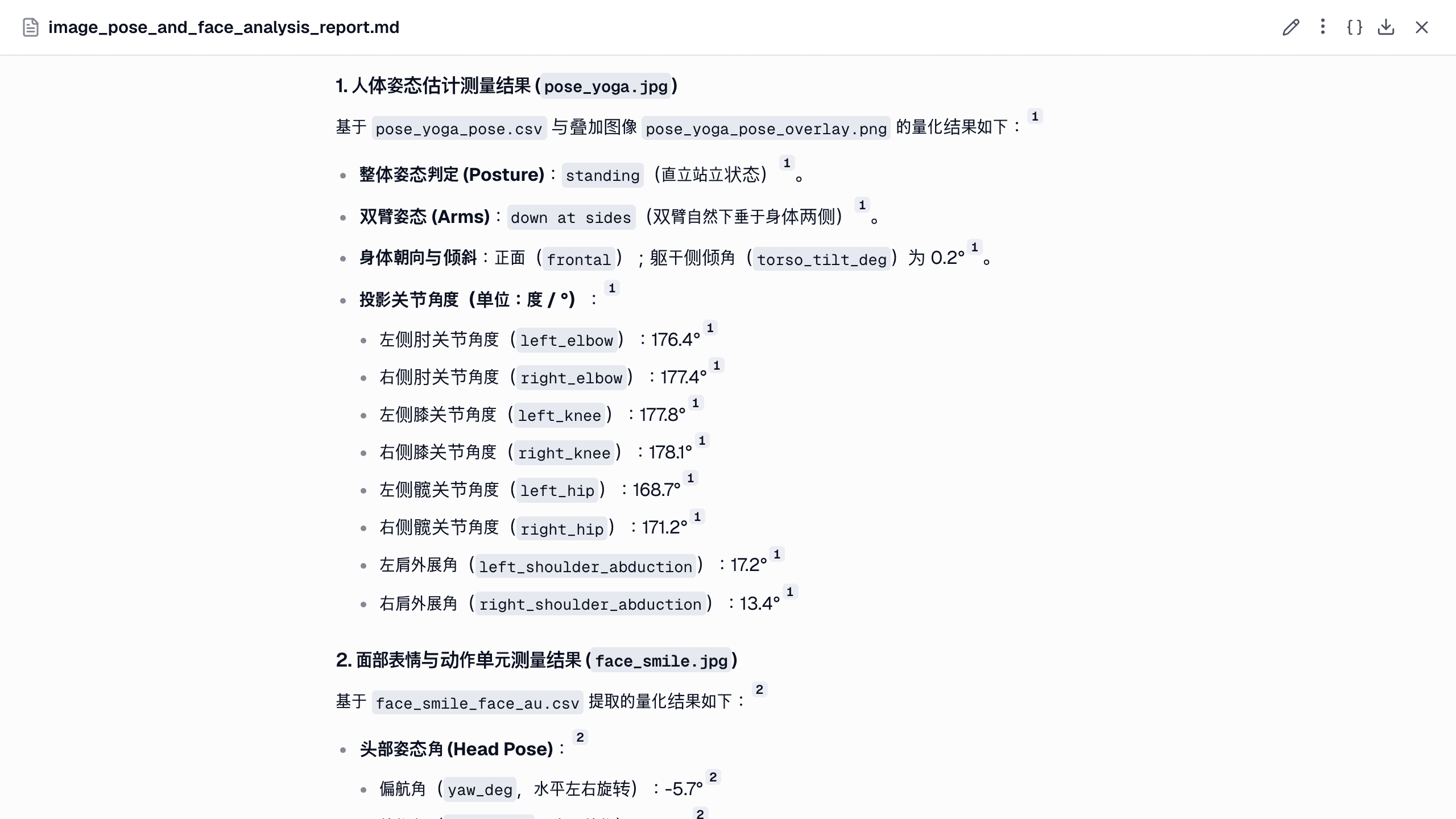 报告中的姿态结果:姿势分类、手臂位置、朝向、躯干倾斜和八个关节角度。